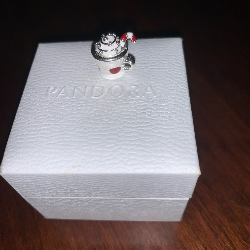 Pandora Charm